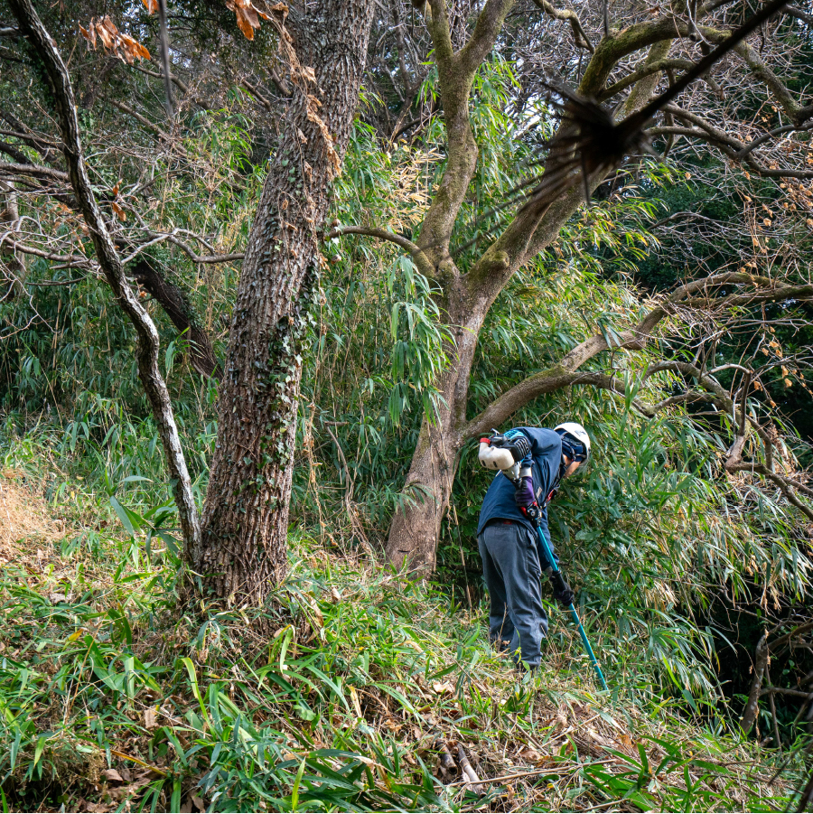 斜面の草刈りの写真
